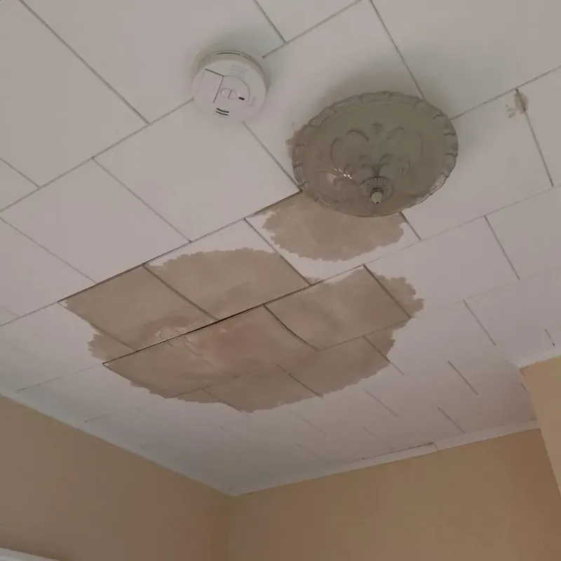 Ceiling Water Damage Repair in Lead, SD