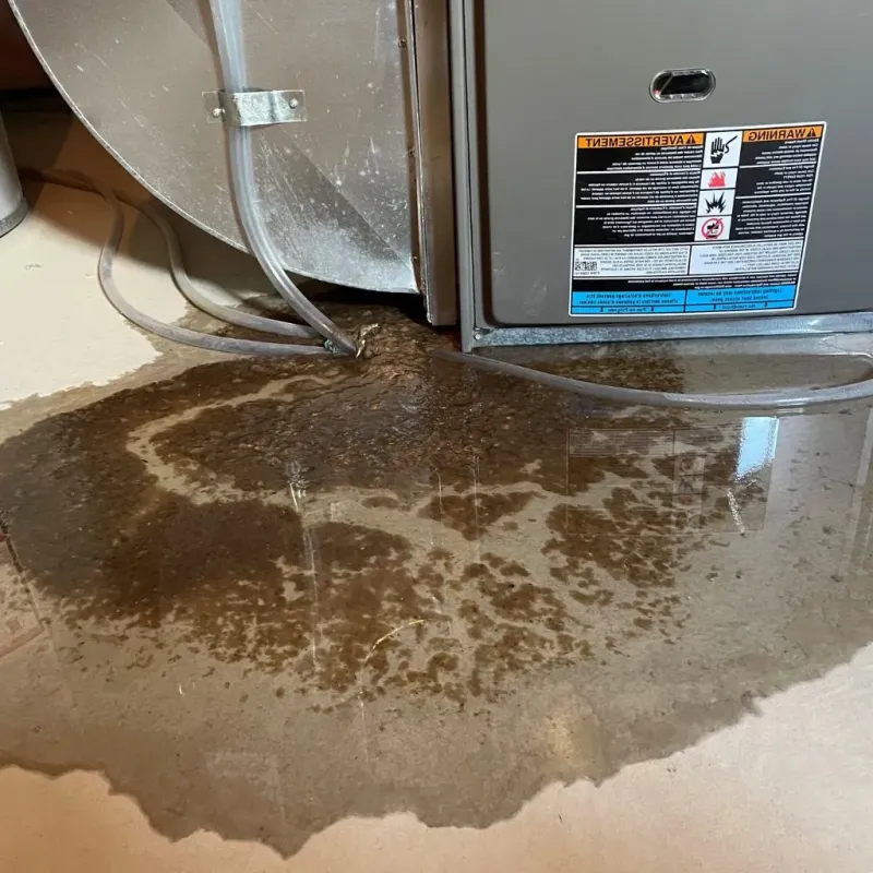 Pipe Burst and Leak Restoration in Lead, SD