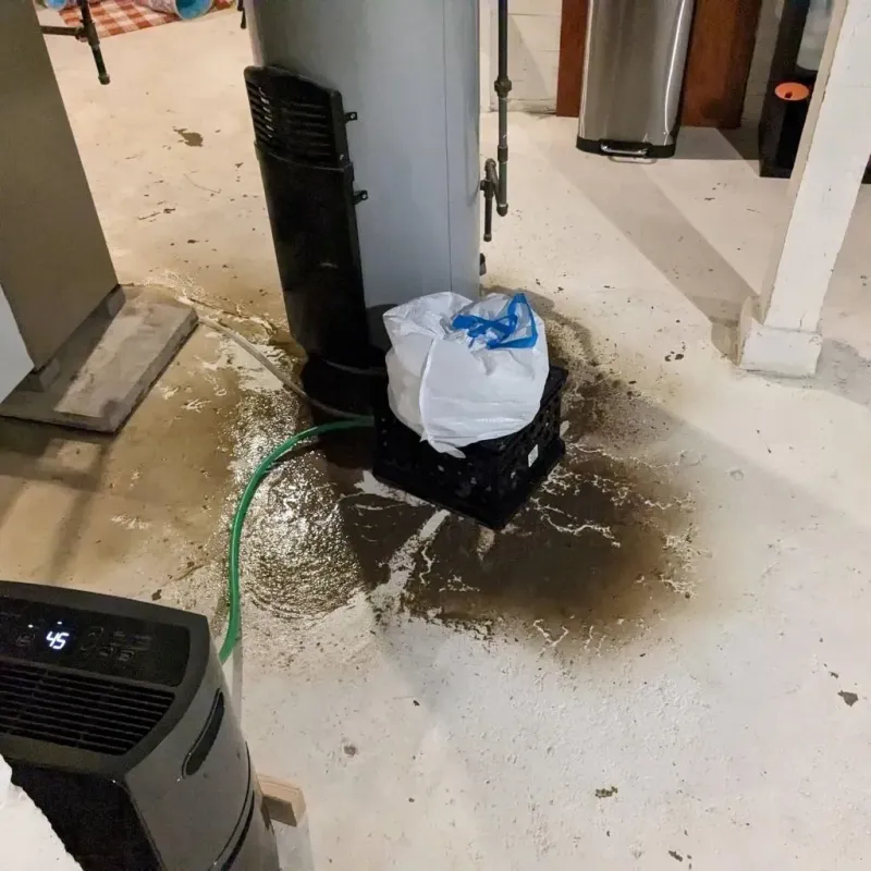 Sewage Backup Cleanup Service in Lead, SD
